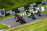 cadwell-no-limits-trackday;cadwell-park;cadwell-park-photographs;cadwell-trackday-photographs;enduro-digital-images;event-digital-images;eventdigitalimages;no-limits-trackdays;peter-wileman-photography;racing-digital-images;trackday-digital-images;trackday-photos